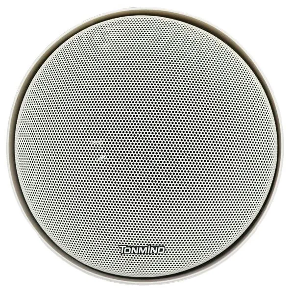 Tonmind SIP-S61M IP подвесной громкоговоритель